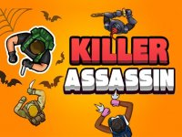 Shadow Agent Stealth Puzzle