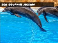 Dolphin Jigsaw Puzzle