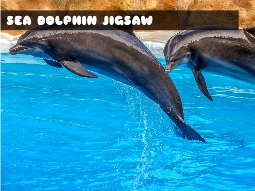 Sea Dolphin Jigsaw Online Puzzle Game - Jigsaw Puzzle