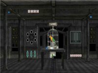 Parrot Rescue Puzzle Quest