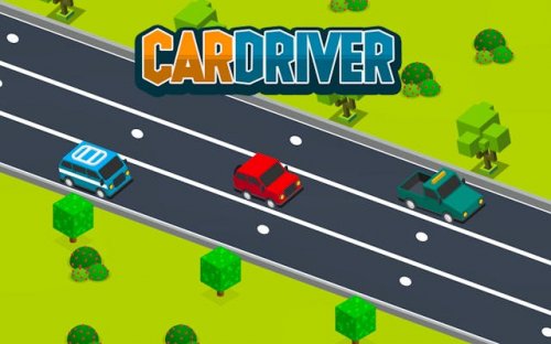 Car Driver: Traffic Challenge