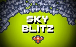 Sky Flight Arcade