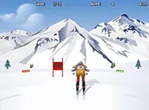 Winter Slalom Racing