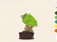 Bonsai Tree Craft Studio